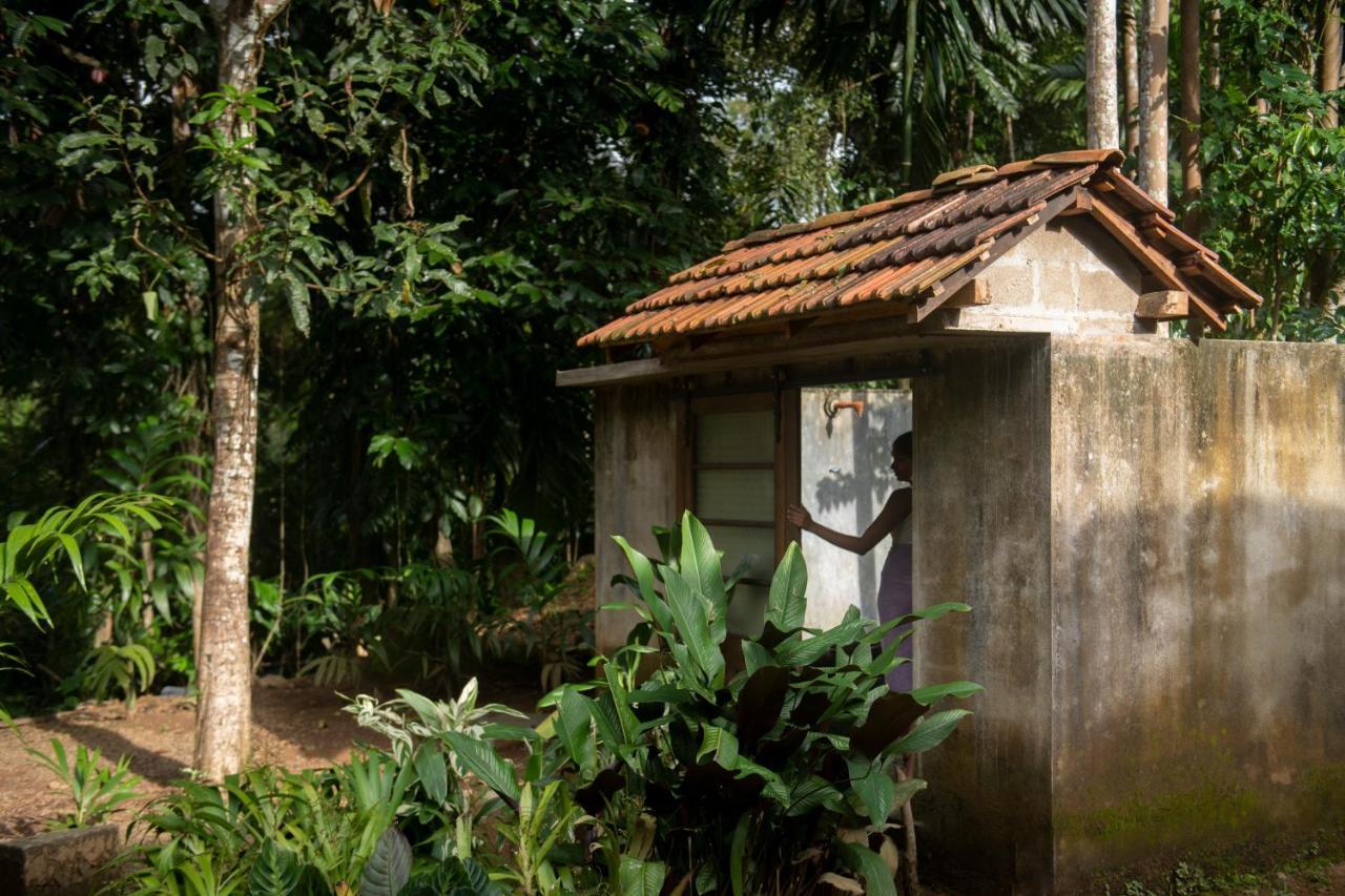 Gileemale Walawwa & Estate Ratnapura Exterior foto
